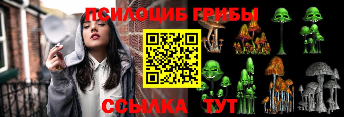 Галлюциногенные грибы Cubensis  Вход с VPN  Псилоцибиновые грибы Cubensis  Вышний Волочёк 
